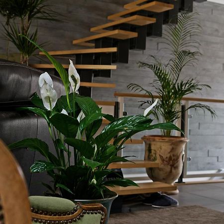 Superbe Appartement Au Coeur Du Jura Шампаньол Екстериор снимка